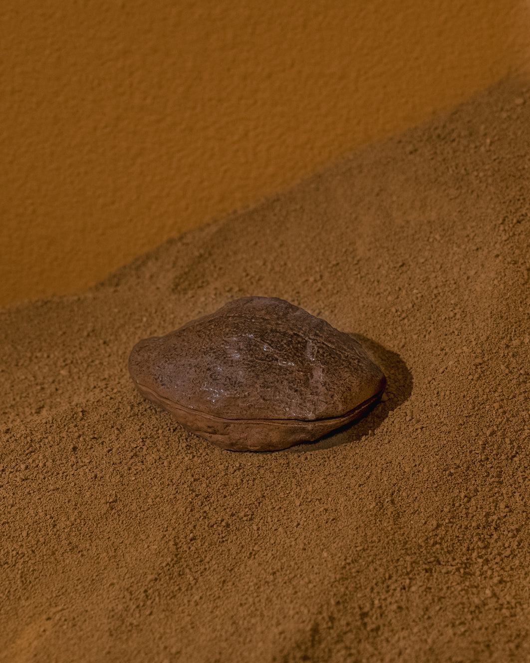 Concha de Água Doce Metade