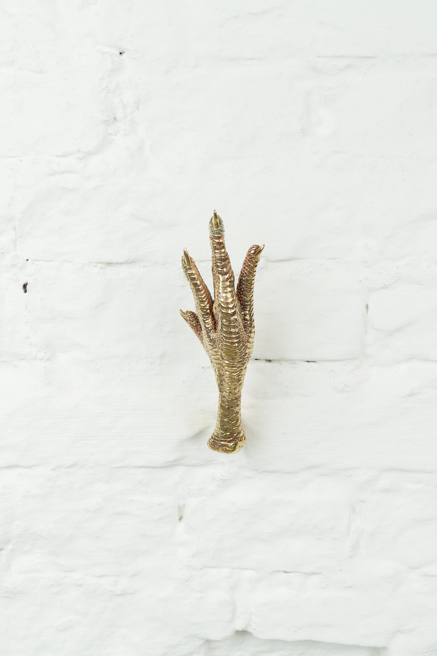 Gancho Pé de Galinha