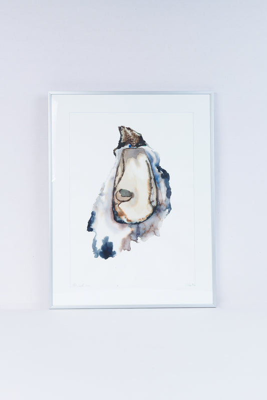 Ostra 08