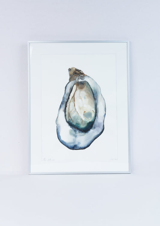 Ostra 04