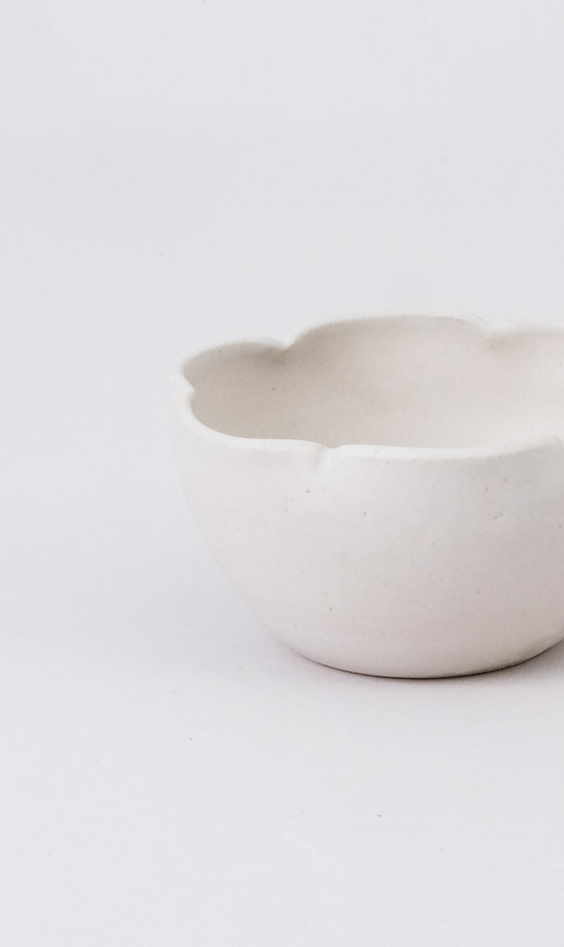 Bowlzinho Gomo
