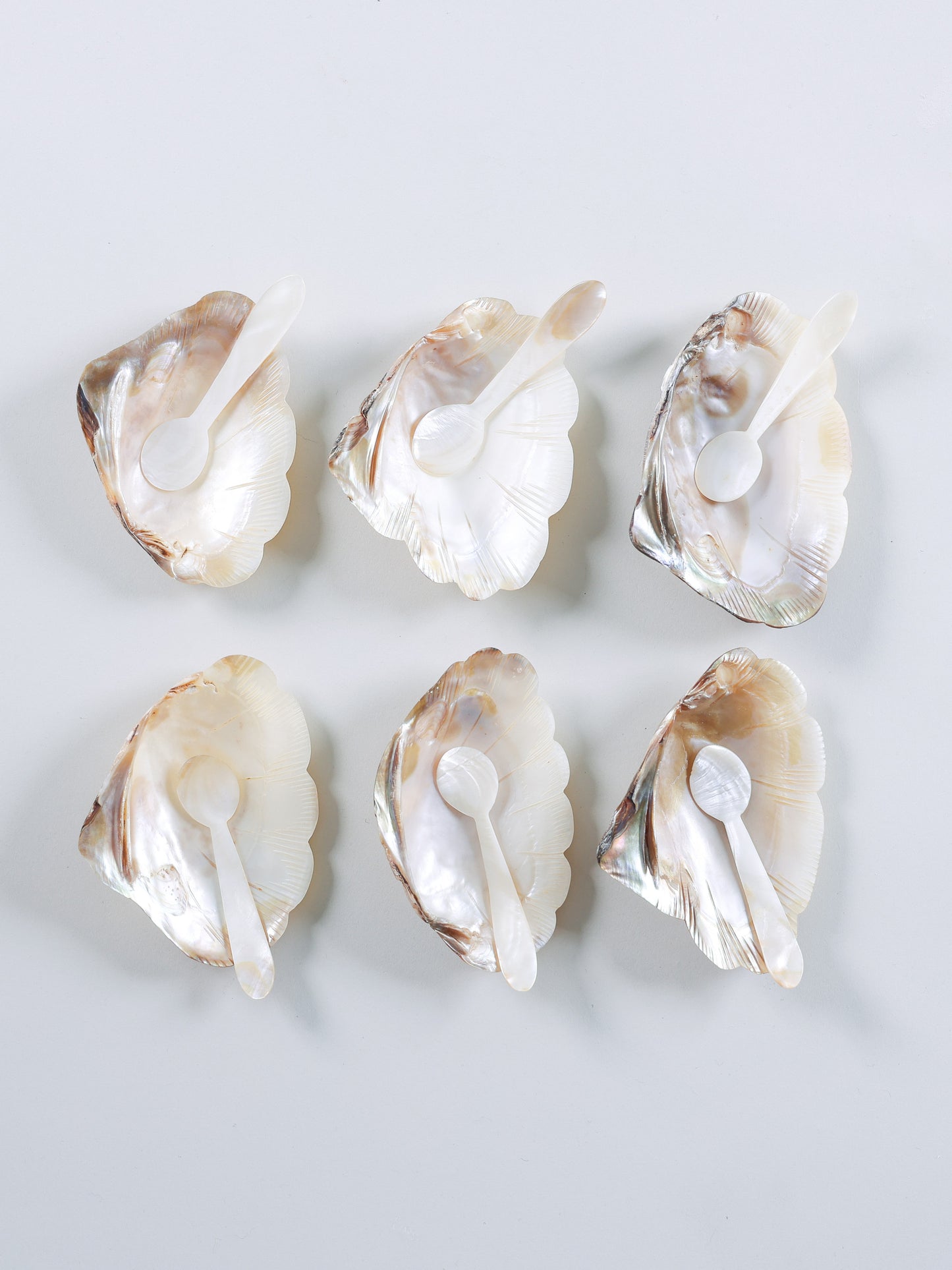 Conjunto de Conchas de Madrepérola + Colheres 6un