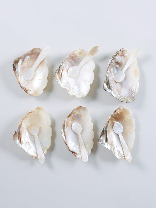 Conjunto de Conchas de Madrepérola + Colheres 6un
