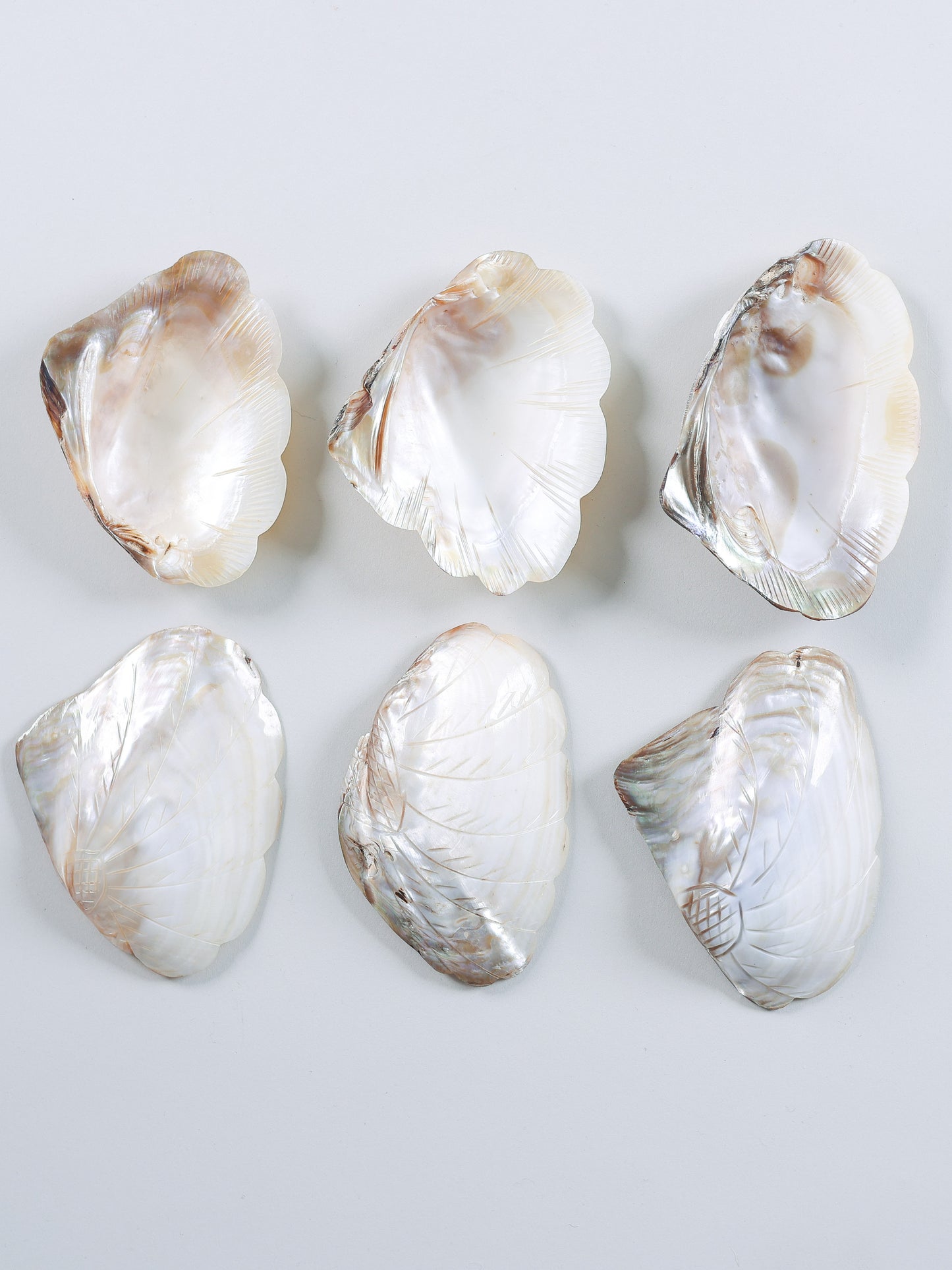 Conjunto de Conchas de Madrepérola + Colheres 6un