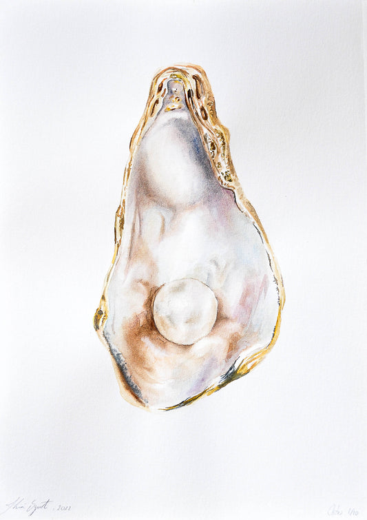 Ostra 01