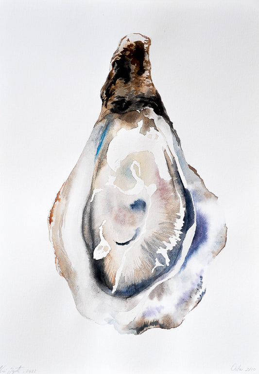 Ostra 02