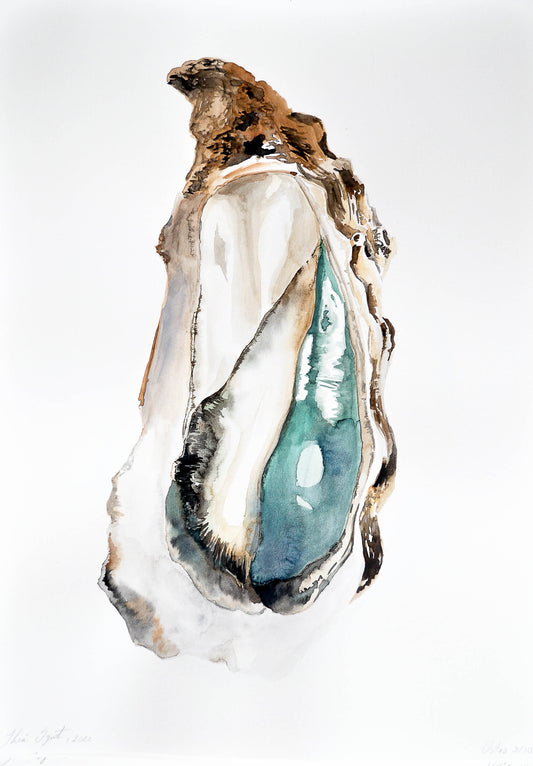 Ostra 03