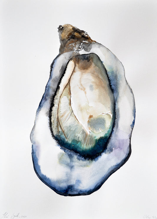 Ostra 04