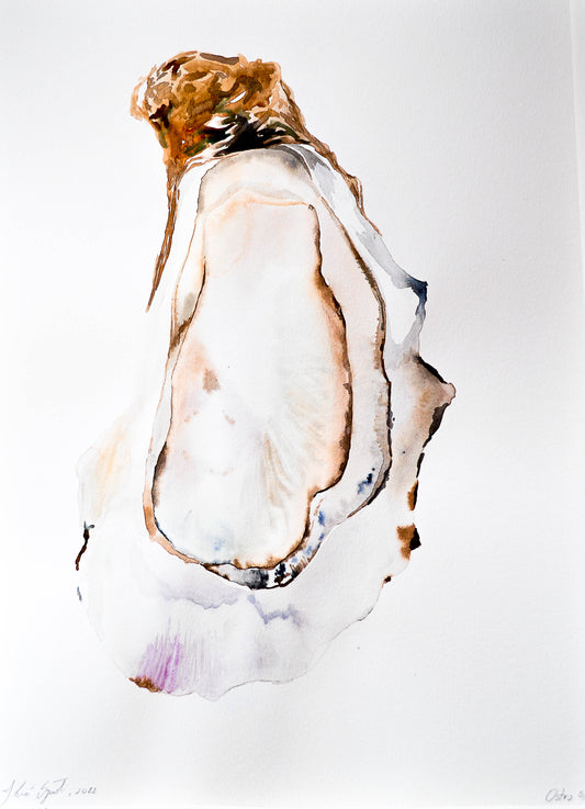 Ostra 05