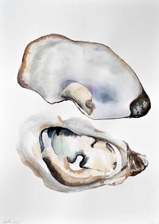 Ostra 07