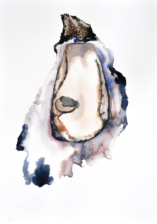 Ostra 08