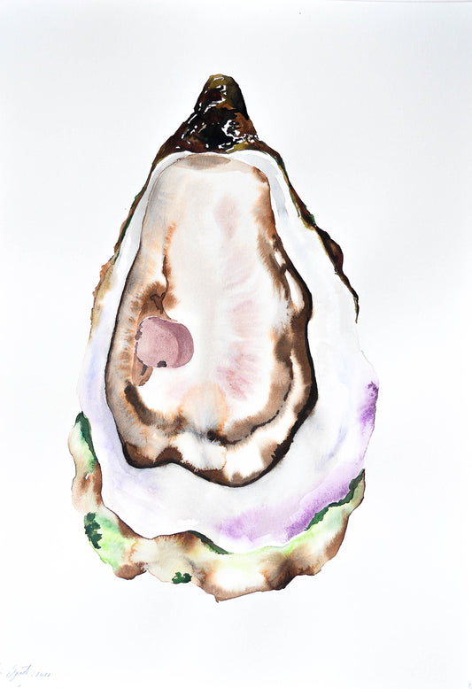 Ostra 09