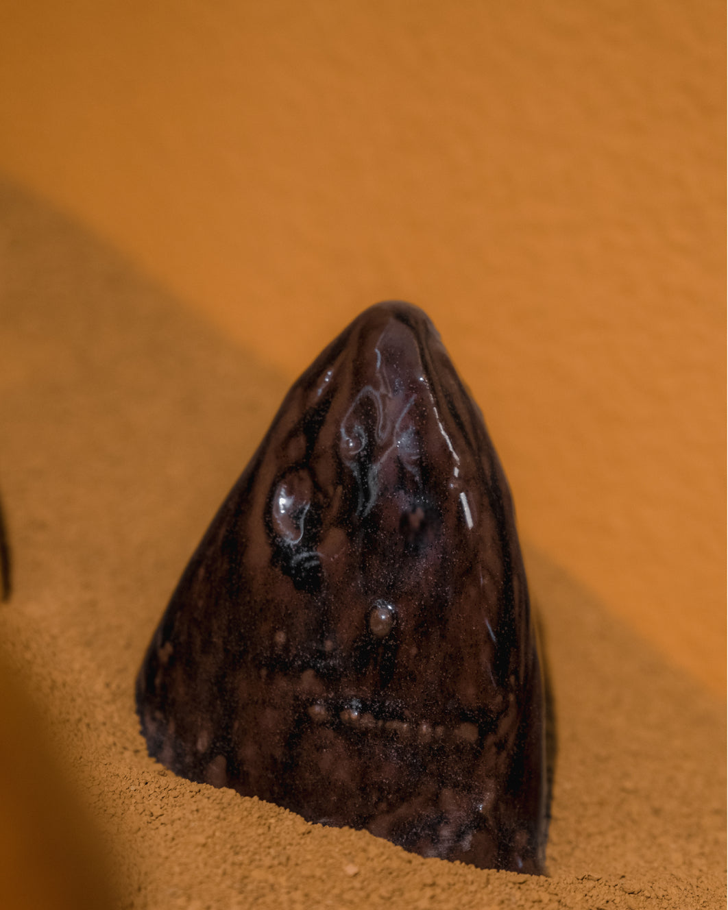 Cabeça de Peixe Curvina