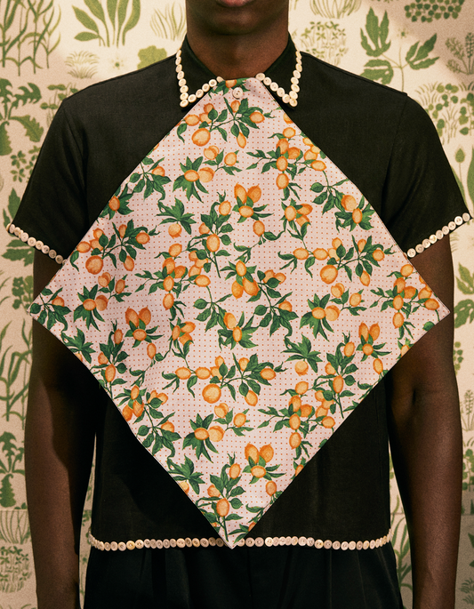 Guardanapo Laranjas Dupla