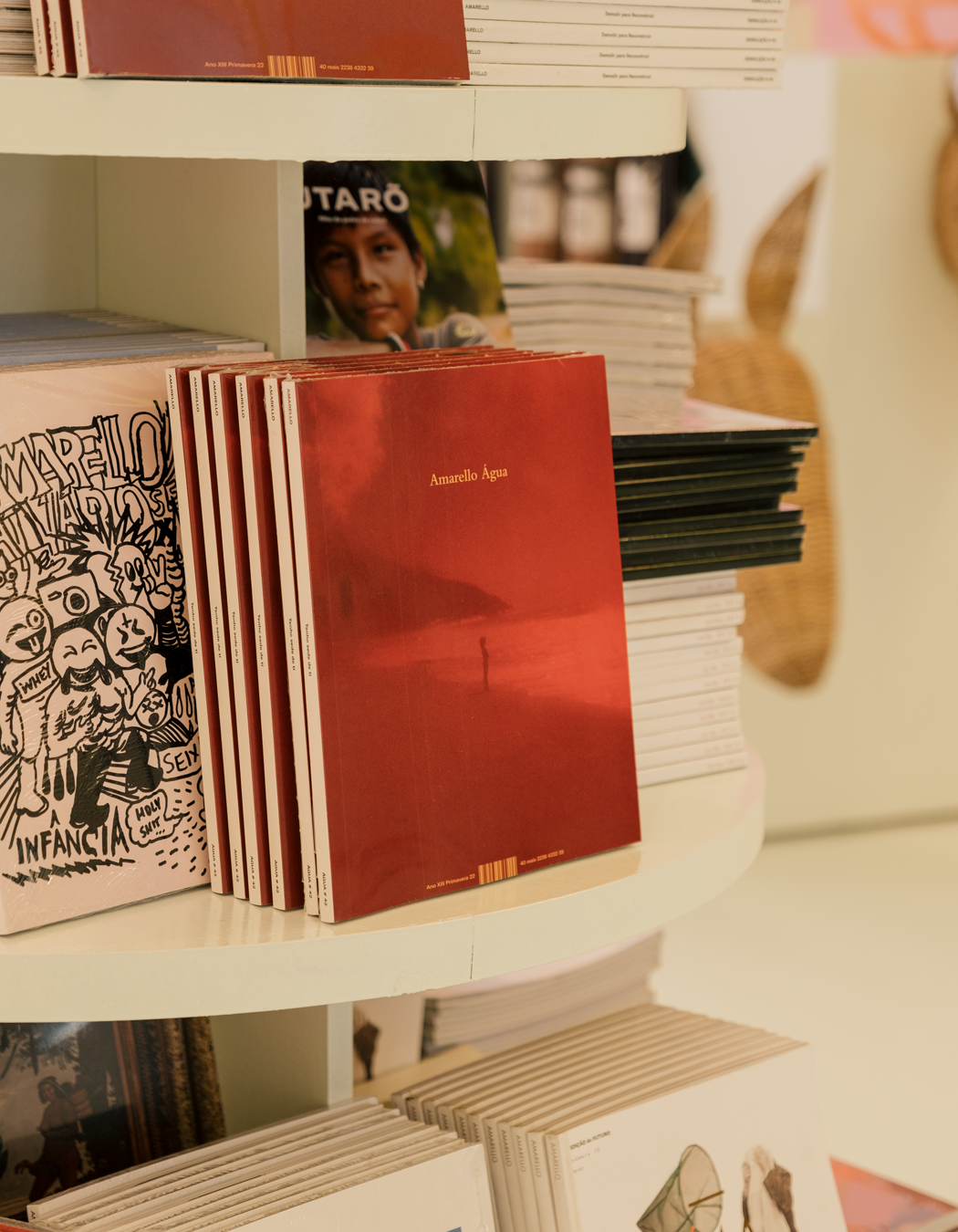 Revistas