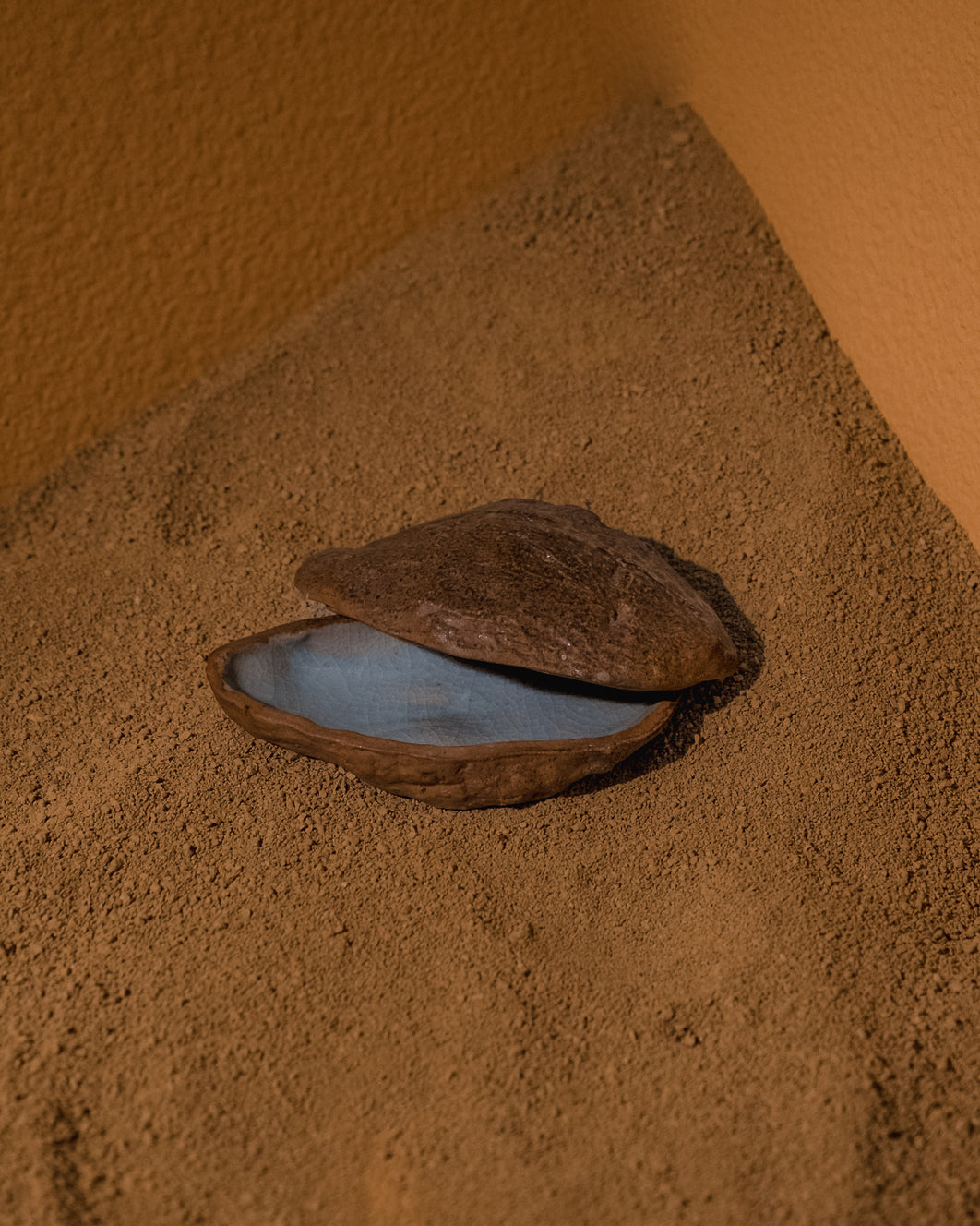 Concha de Água Doce Metade